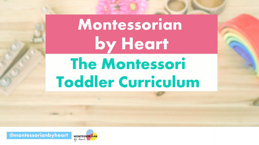 Montessori Toddler Curriculum Workshop